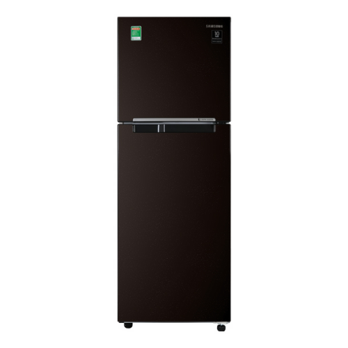 Tủ lạnh Samsung Inverter 236 lít RT22M4032BY